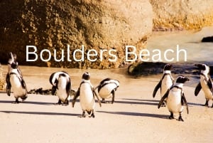 Full Day Cape Peninsula Tour