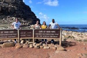 Excursión Privada de Día Completo: Cabo de Buena Esperanza y Pingüinos