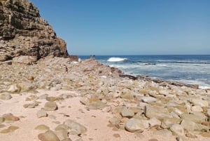 Excursión Privada de Día Completo: Cabo de Buena Esperanza y Pingüinos