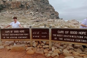 Excursión Privada de Día Completo: Cabo de Buena Esperanza y Pingüinos