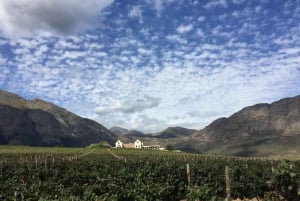 終日プライベートワインルートツアー