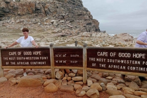 Kokopäiväretki Pöytävuorelle ja Hyvän toivon niemelle (Cape of Good Hope)