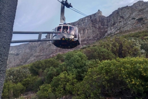 Tour condiviso di un giorno intero alla Table Mountain e al Capo di Buona Speranza