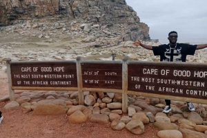 Gedeelde dagvullende tour naar de Tafelberg en Kaap de Goede Hoop