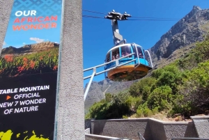Koko päivä Table Mountain, Hyväntoivonniemi, pingviinien kolonia