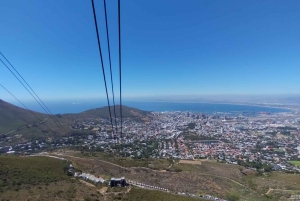 Koko päivä Table Mountain, Hyväntoivonniemi, pingviinien kolonia