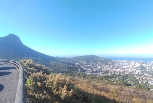 Koko päivä Table Mountain, Hyväntoivonniemi, pingviinien kolonia