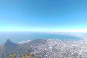 Koko päivä Table Mountain, Hyväntoivonniemi, pingviinien kolonia