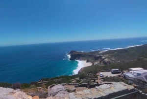 Koko päivä Table Mountain, Hyväntoivonniemi, pingviinien kolonia