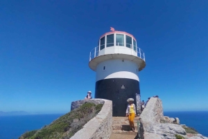 Koko päivä Table Mountain, Hyväntoivonniemi, pingviinien kolonia
