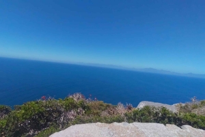 Koko päivä Table Mountain, Hyväntoivonniemi, pingviinien kolonia
