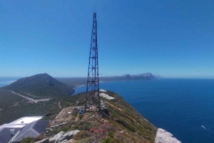 Koko päivä Table Mountain, Hyväntoivonniemi, pingviinien kolonia