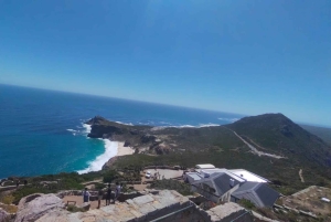 Koko päivä Table Mountain, Hyväntoivonniemi, pingviinien kolonia