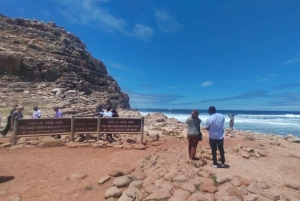 Koko päivä Table Mountain, Hyväntoivonniemi, pingviinien kolonia