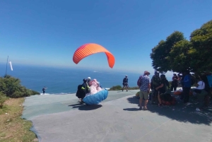 Koko päivä Table Mountain, Hyväntoivonniemi, pingviinien kolonia