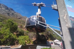 Koko päivä Table Mountain, Hyväntoivonniemi, pingviinien kolonia