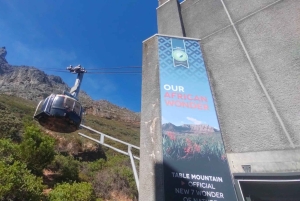 Koko päivä Table Mountain, Hyväntoivonniemi, pingviinien kolonia