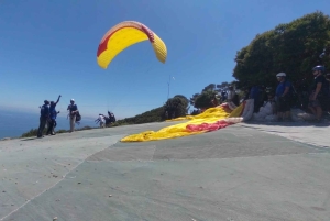 Koko päivä Table Mountain, Hyväntoivonniemi, pingviinien kolonia