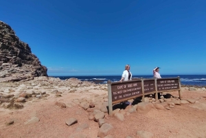Koko päivä Table Mountain, Hyväntoivonniemi, pingviinien kolonia