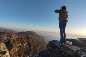Koko päivä Table Mountain, Hyväntoivonniemi, pingviinien kolonia