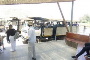 Kapsztad: Safari w rezerwacie Aquila z lunchem i wizytą w winiarni