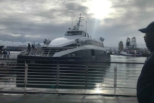 ロベン島とテーブルマウンテンの1日ツアー