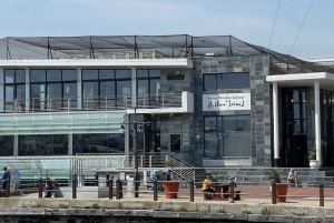 Tour de día completo a Robben Island y Table Mountain