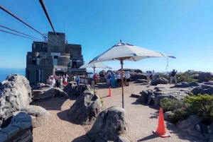 Tour de día completo a Robben Island y Table Mountain