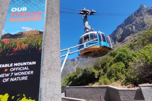 Tour de día completo a Robben Island y Table Mountain