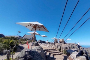 Tour de día completo a Robben Island y Table Mountain