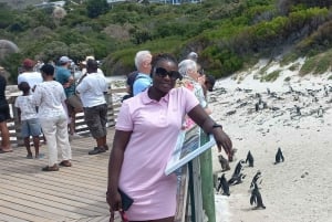 Kokopäiväretki Kapkaupungista Hyvän toivon niemelle ja pingviineihin Kapkaupungista