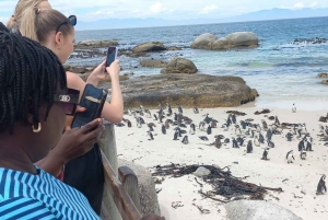 Kokopäiväretki Kapkaupungista Hyvän toivon niemelle ja pingviineihin Kapkaupungista