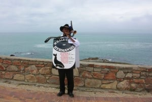 Viaje de día completo a Hermanus desde Ciudad del Cabo