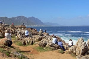 Vanuit Kaapstad: dagexcursie naar Hermanus