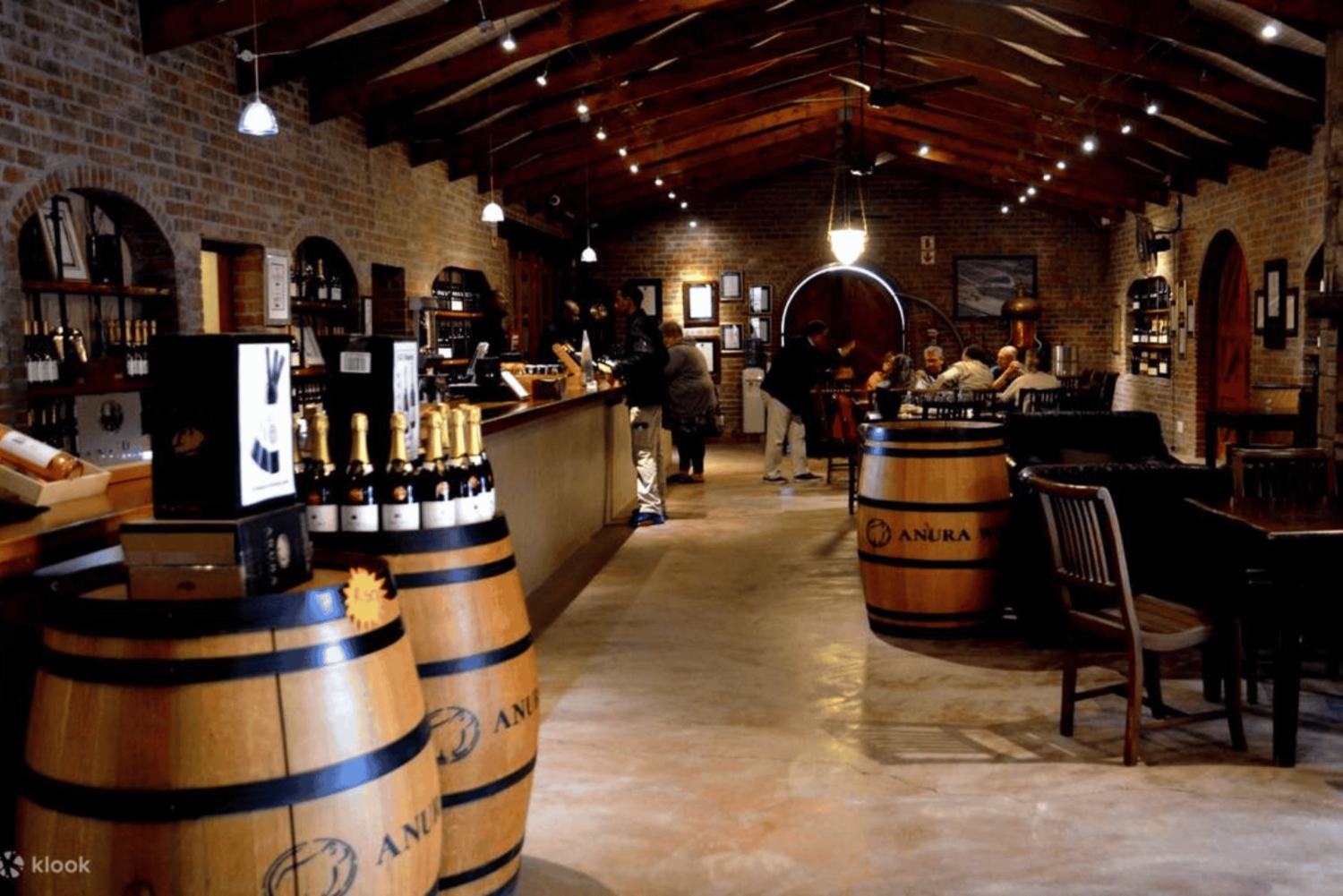 Ganztägige Weinverkostung & Straßenbahn-Abenteuer