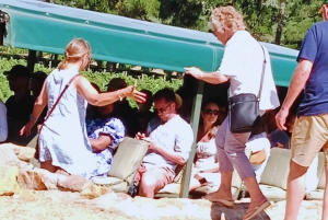 Ganztägige Weinverkostung & Straßenbahn-Abenteuer