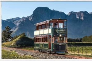 Ganztägige Weinverkostung & Straßenbahn-Abenteuer