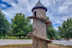 Visite d'une jounée avec 14 dégustations de vins + déjeuner inclus