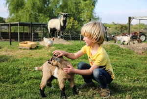 Visite d'une jounée avec 14 dégustations de vins + déjeuner inclus