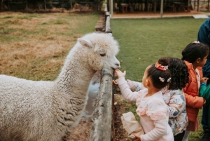 Ganztagestour mit 14 Weinverkostungen + Mittagessen INKLUSIVE