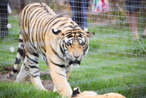 Ganztagestour mit 14 Weinverkostungen + Mittagessen INKLUSIVE