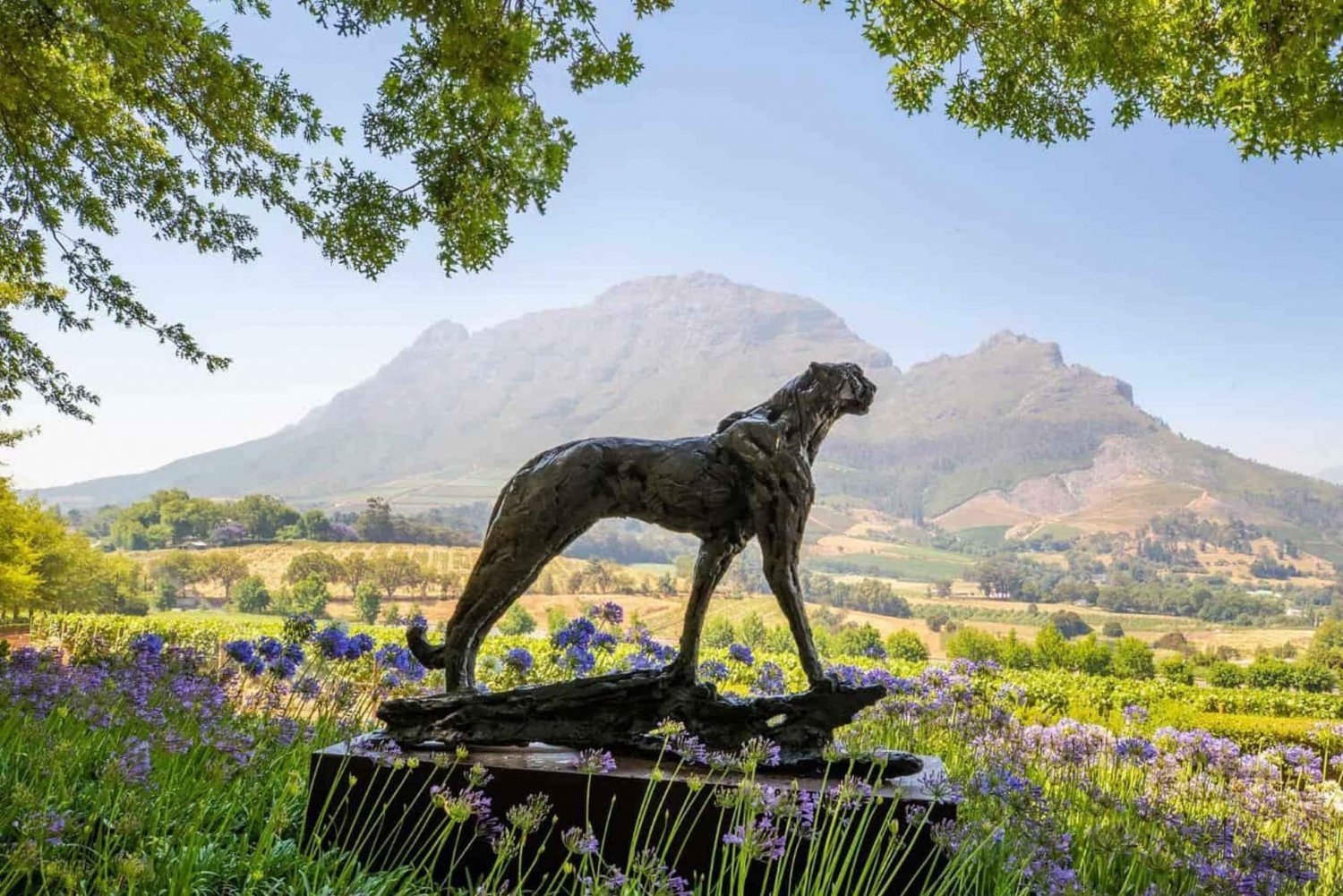 Excursão de 1 dia a Winelands com degustação de vinhos saindo da Cidade do Cabo