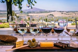 Excursão de 1 dia a Winelands com degustação de vinhos saindo da Cidade do Cabo