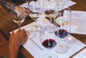 Excursão de 1 dia a Winelands com degustação de vinhos saindo da Cidade do Cabo