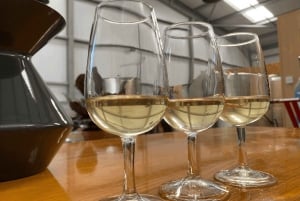 Excursão de 1 dia a Winelands com degustação de vinhos saindo da Cidade do Cabo