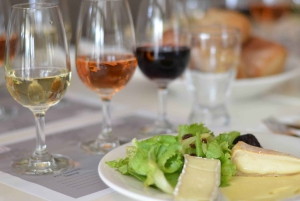 Heldagstur til vinland med vinprøve fra Cape Town