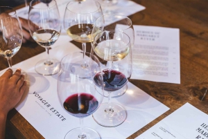 Heldagstur til vinland med vinprøve fra Cape Town