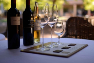 Heldagstur til vinland med vinprøve fra Cape Town