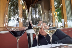 Fullday Wine Tour