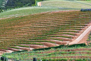 Ganztägige Weintour